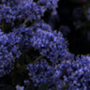 Meet your Posher, Im